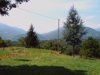 Cliquer pour agrandir